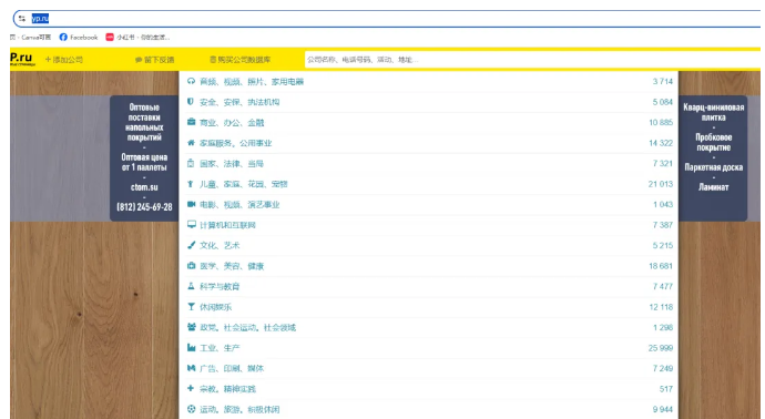 开发俄罗斯客户
